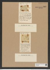 Triceratium caribaeum W. et Ch. (de-Toni-Nr.: Genus 140, Species 3828) Zeichnungen Sammlung Grunow Nr. 7327 (NHMW-BOT-W0376369)